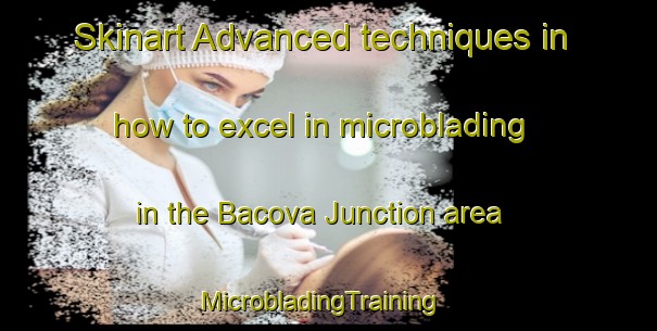 Skinart Advanced techniques in how to excel in microblading in the Bacova Junction area | MicrobladingTraining | MicrobladingClasses | SkinartTraining-United States