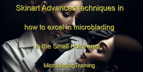 Skinart Advanced techniques in how to excel in microblading in the Small Point area | MicrobladingTraining | MicrobladingClasses | SkinartTraining-United States