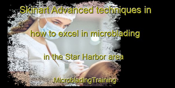 Skinart Advanced techniques in how to excel in microblading in the Star Harbor area | MicrobladingTraining | MicrobladingClasses | SkinartTraining-United States