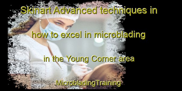 Skinart Advanced techniques in how to excel in microblading in the Young Corner area | MicrobladingTraining | MicrobladingClasses | SkinartTraining-United States