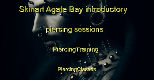 Skinart Agate Bay introductory piercing sessions | #PiercingTraining #PiercingClasses #SkinartTraining-United States