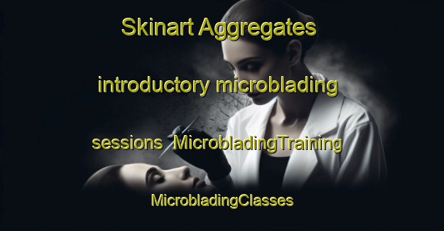 Skinart Aggregates introductory microblading sessions | #MicrobladingTraining #MicrobladingClasses #SkinartTraining-United States