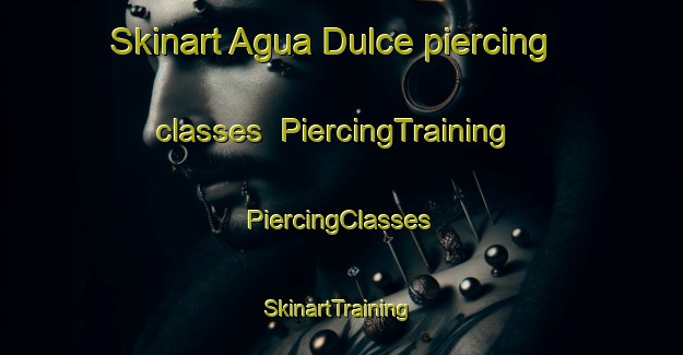 Skinart Agua Dulce piercing classes | #PiercingTraining #PiercingClasses #SkinartTraining-United States