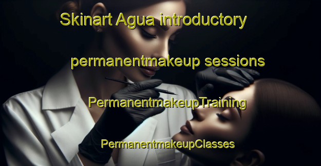 Skinart Agua introductory permanentmakeup sessions | #PermanentmakeupTraining #PermanentmakeupClasses #SkinartTraining-United States