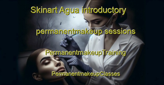 Skinart Agua introductory permanentmakeup sessions | #PermanentmakeupTraining #PermanentmakeupClasses #SkinartTraining-United States