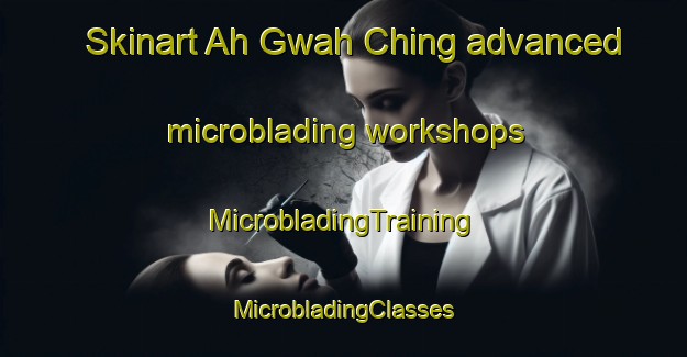 Skinart Ah Gwah Ching advanced microblading workshops | #MicrobladingTraining #MicrobladingClasses #SkinartTraining-United States