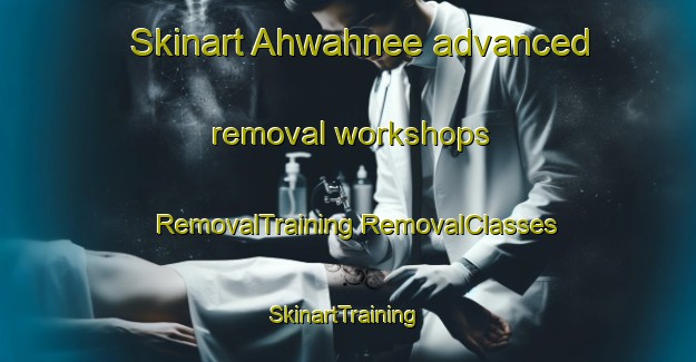 Skinart Ahwahnee advanced removal workshops | #RemovalTraining #RemovalClasses #SkinartTraining-United States