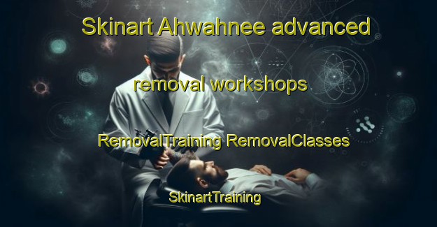 Skinart Ahwahnee advanced removal workshops | #RemovalTraining #RemovalClasses #SkinartTraining-United States