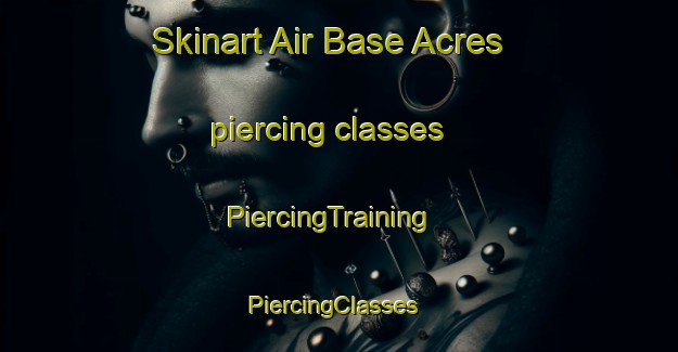 Skinart Air Base Acres piercing classes | PiercingTraining | PiercingClasses | SkinartTraining-United States
