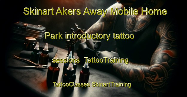 Skinart Akers Away Mobile Home Park introductory tattoo sessions | #TattooTraining #TattooClasses #SkinartTraining-United States