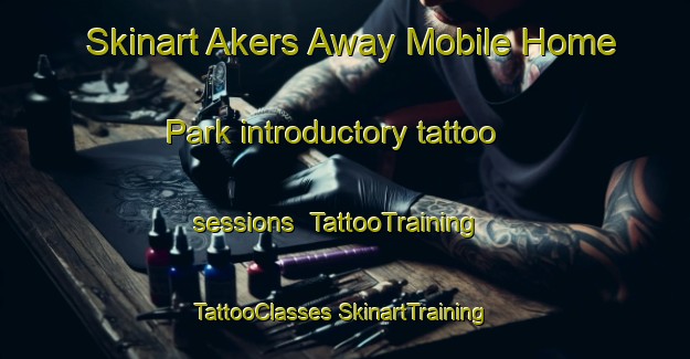 Skinart Akers Away Mobile Home Park introductory tattoo sessions | #TattooTraining #TattooClasses #SkinartTraining-United States