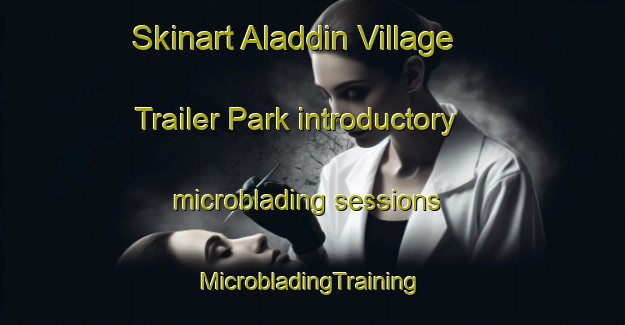 Skinart Aladdin Village Trailer Park introductory microblading sessions | #MicrobladingTraining #MicrobladingClasses #SkinartTraining-United States