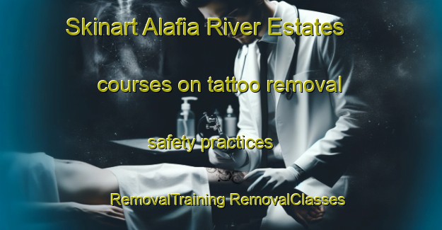 Skinart Alafia River Estates courses on tattoo removal safety practices | #RemovalTraining #RemovalClasses #SkinartTraining-United States