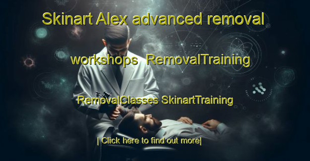 Skinart Alex advanced removal workshops | #RemovalTraining #RemovalClasses #SkinartTraining-United States