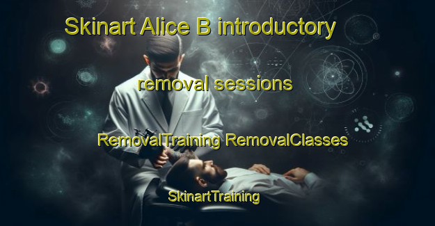 Skinart Alice B introductory removal sessions | #RemovalTraining #RemovalClasses #SkinartTraining-United States