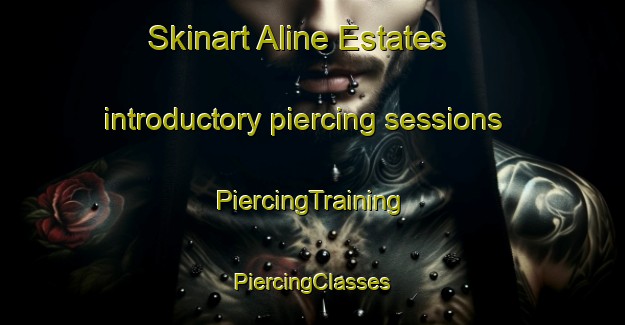 Skinart Aline Estates introductory piercing sessions | #PiercingTraining #PiercingClasses #SkinartTraining-United States