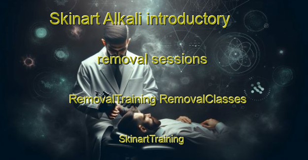 Skinart Alkali introductory removal sessions | #RemovalTraining #RemovalClasses #SkinartTraining-United States