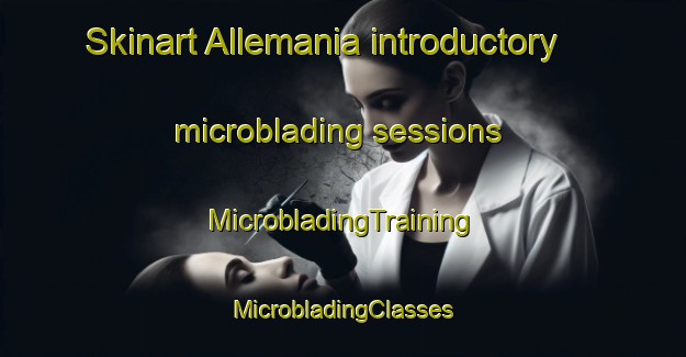 Skinart Allemania introductory microblading sessions | #MicrobladingTraining #MicrobladingClasses #SkinartTraining-United States