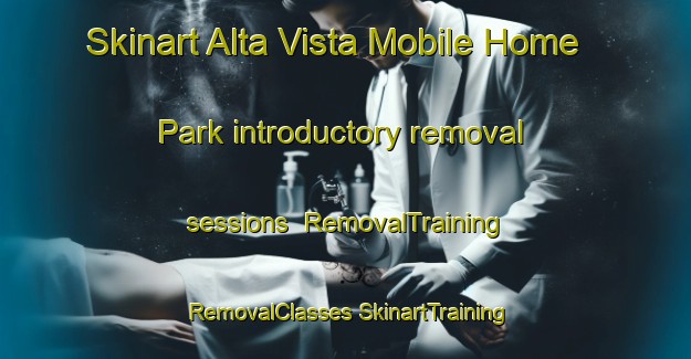 Skinart Alta Vista Mobile Home Park introductory removal sessions | #RemovalTraining #RemovalClasses #SkinartTraining-United States