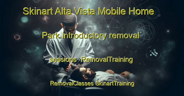 Skinart Alta Vista Mobile Home Park introductory removal sessions | #RemovalTraining #RemovalClasses #SkinartTraining-United States