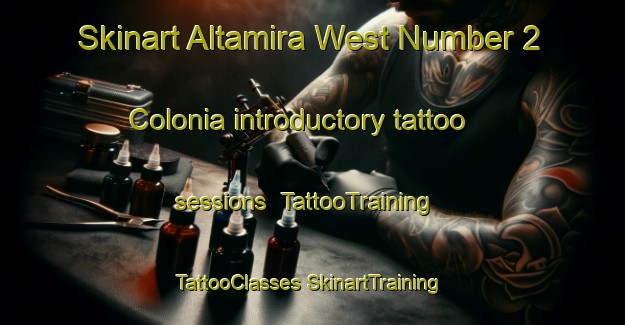 Skinart Altamira West Number 2 Colonia introductory tattoo sessions | #TattooTraining #TattooClasses #SkinartTraining-United States