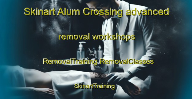 Skinart Alum Crossing advanced removal workshops | #RemovalTraining #RemovalClasses #SkinartTraining-United States