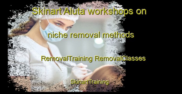 Skinart Aluta workshops on niche removal methods | #RemovalTraining #RemovalClasses #SkinartTraining-United States