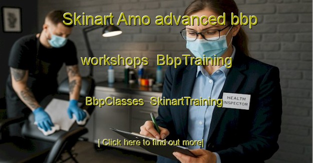 Skinart Amo advanced bbp workshops | BbpTraining | BbpClasses | SkinartTraining-United States