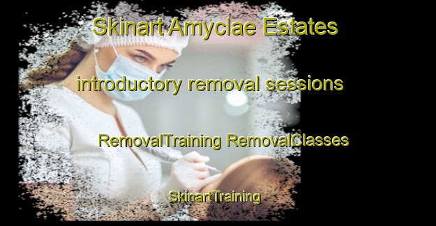 Skinart Amyclae Estates introductory removal sessions | #RemovalTraining #RemovalClasses #SkinartTraining-United States