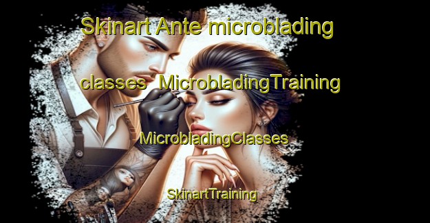 Skinart Ante microblading classes | #MicrobladingTraining #MicrobladingClasses #SkinartTraining-United States