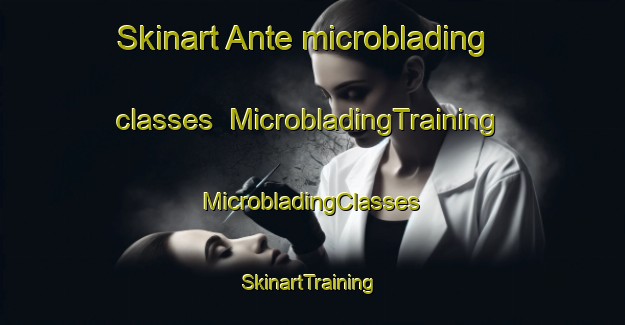 Skinart Ante microblading classes | #MicrobladingTraining #MicrobladingClasses #SkinartTraining-United States