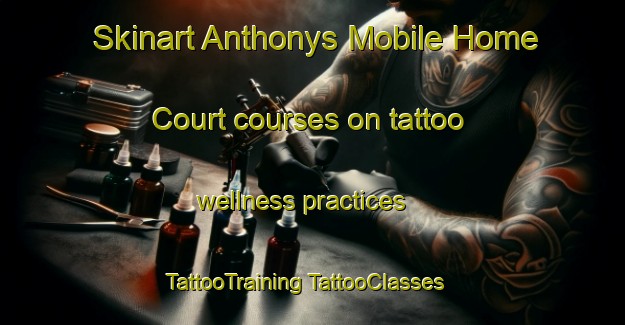 Skinart Anthonys Mobile Home Court courses on tattoo wellness practices | #TattooTraining #TattooClasses #SkinartTraining-United States