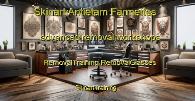 Skinart Antietam Farmettes advanced removal workshops | #RemovalTraining #RemovalClasses #SkinartTraining-United States