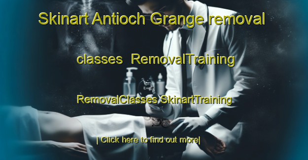 Skinart Antioch Grange removal classes | #RemovalTraining #RemovalClasses #SkinartTraining-United States