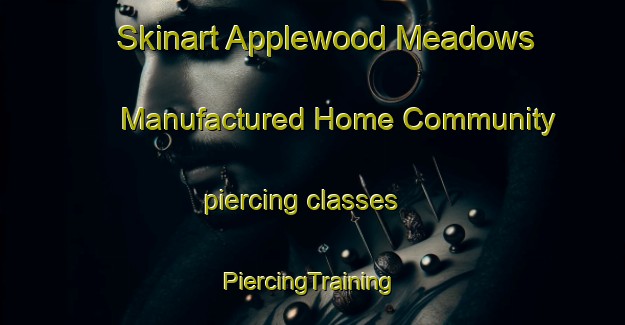 Skinart Applewood Meadows Manufactured Home Community piercing classes | #PiercingTraining #PiercingClasses #SkinartTraining-United States