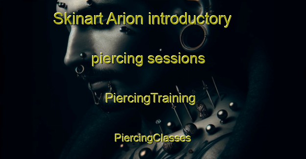 Skinart Arion introductory piercing sessions | #PiercingTraining #PiercingClasses #SkinartTraining-United States