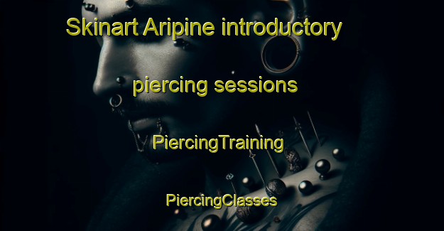 Skinart Aripine introductory piercing sessions | #PiercingTraining #PiercingClasses #SkinartTraining-United States