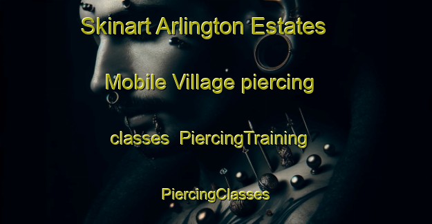 Skinart Arlington Estates Mobile Village piercing classes | #PiercingTraining #PiercingClasses #SkinartTraining-United States