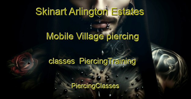 Skinart Arlington Estates Mobile Village piercing classes | #PiercingTraining #PiercingClasses #SkinartTraining-United States