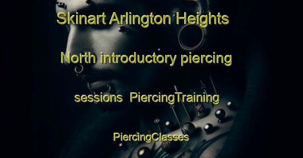 Skinart Arlington Heights North introductory piercing sessions | #PiercingTraining #PiercingClasses #SkinartTraining-United States