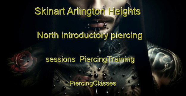 Skinart Arlington Heights North introductory piercing sessions | #PiercingTraining #PiercingClasses #SkinartTraining-United States