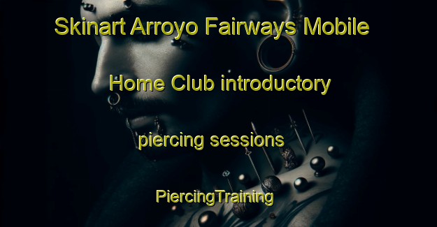 Skinart Arroyo Fairways Mobile Home Club introductory piercing sessions | #PiercingTraining #PiercingClasses #SkinartTraining-United States