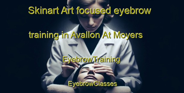 Skinart Art-focused eyebrow training in Avallon At Moyers | EyebrowTraining | EyebrowClasses | SkinartTraining-United States