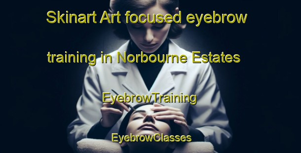 Skinart Art-focused eyebrow training in Norbourne Estates | EyebrowTraining | EyebrowClasses | SkinartTraining-United States