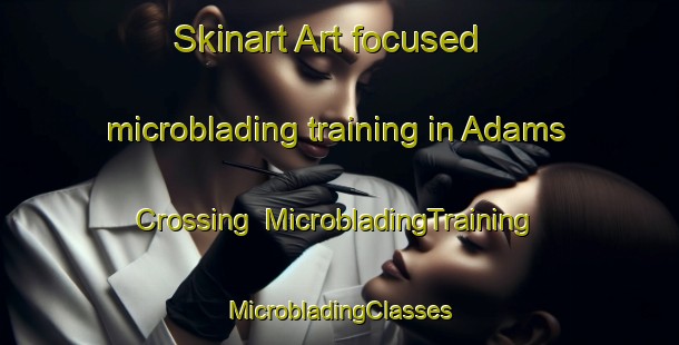 Skinart Art-focused microblading training in Adams Crossing | #MicrobladingTraining #MicrobladingClasses #SkinartTraining-United States