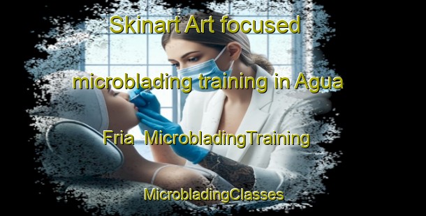 Skinart Art-focused microblading training in Agua Fria | #MicrobladingTraining #MicrobladingClasses #SkinartTraining-United States