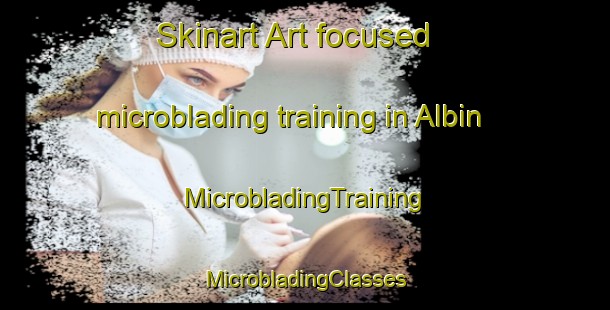 Skinart Art-focused microblading training in Albin | #MicrobladingTraining #MicrobladingClasses #SkinartTraining-United States