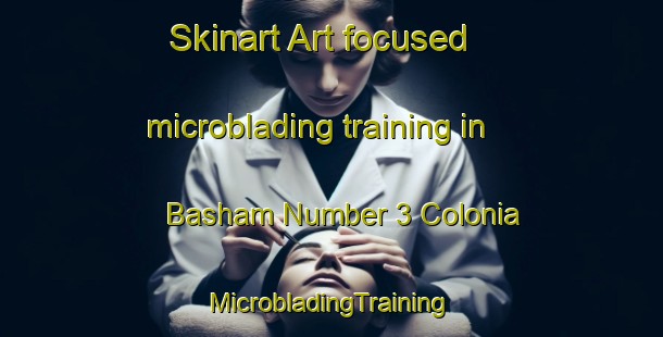 Skinart Art-focused microblading training in Basham Number 3 Colonia | #MicrobladingTraining #MicrobladingClasses #SkinartTraining-United States