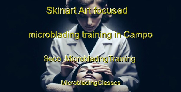 Skinart Art-focused microblading training in Campo Seco | #MicrobladingTraining #MicrobladingClasses #SkinartTraining-United States