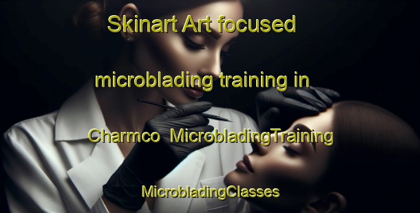 Skinart Art-focused microblading training in Charmco | #MicrobladingTraining #MicrobladingClasses #SkinartTraining-United States